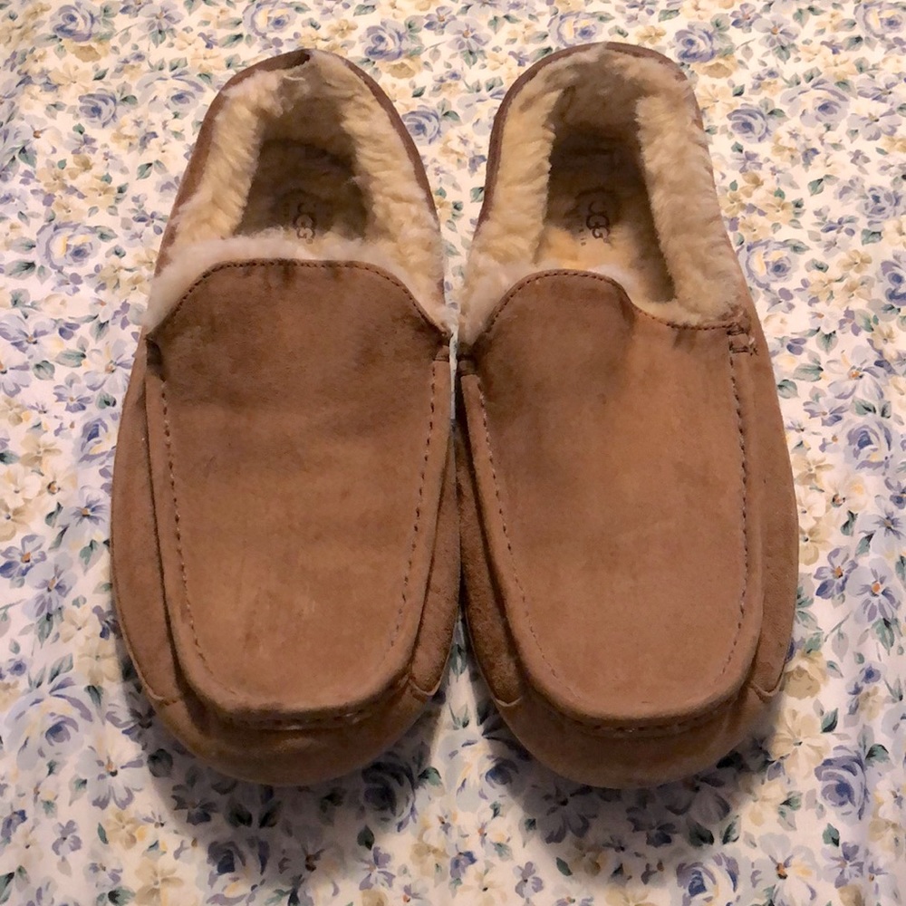 WOMENS Ascot Ugg Slipper